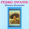 pedro infante - Gorrioncillo Pecho Amarillo