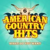 American Country Hits - What Do You Want (As Made Famous By Jerrod Niemann)