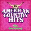 American Country Hits - Neon (Tribute to Chris Young)