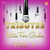 Ameritz Tribute Standards - I Knew You Were Trouble (A Tribute To Taylor Swift)