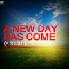 Ameritz Tribute Standards《A New Day Has Come》[MP3/LRC]