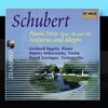 Gerhard Oppitz & Dmitry Sitkovetzky - Op. 99 1.Mvmt. Allegro Moderato