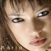 Karla - Ahora Lloras