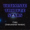 Ultimate Tribute Stars (终极明星致敬) - Gnarls Barkley (Crazy)