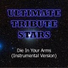 Ultimate Tribute Stars (终极明星致敬) - Justin Bieber - Die in Your Arms (InstrumentalVersion)