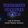 Ultimate Tribute Stars (终极明星致敬) - P.O.D. - Lost in Forever (Vocal Melody Version)