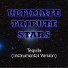 Ultimate Tribute Stars (终极明星致敬) - Tino Cochino - Tequila (InstrumentalVersion)