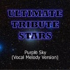 Ultimate Tribute Stars (终极明星致敬) - Kid Rock (Purple Sky)