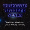 Ultimate Tribute Stars (终极明星致敬) - Kenny Chesney Feat. Tim Mcgraw (Feel Like a Rockstar)