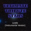 Ultimate Tribute Stars (终极明星致敬) - Avicci (Levels)