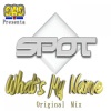 Dj Spot - Stay (Original Mix)