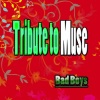 Bad Boys - Map of the Problematique
