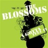 the blossoms - Write Me A Letter
