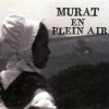 Jean-Louis Murat - Terre De France