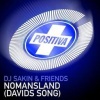 DJ Sakin & Friends - Nomansland (David's Song Lange Remix)