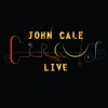 John Cale - Venus in Furs