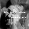 John Cale - Outta the Bag
