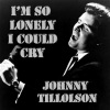 Johnny Tillotson《Angel》[MP3/LRC]