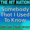 The Hit Nation (热歌国度)、The Hit Nation - Somebody That I Used to Know