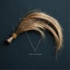 Versatile - Ballenas