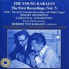 Herbert von Karajan、Wiener Philharmoniker - I. Allegro assai (降B大调第33号交响曲，作品319)