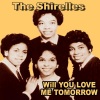 the shirelles《Stop the Music》[MP3/LRC]