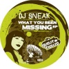 dj sneak《What You Been Missing》[MP3/LRC]