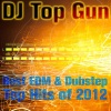 DJ Top Gun - Swedish House Mafia Vs. Knife Party (Antidote)