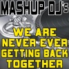 Mashup DJ's《We Are Never Ever Getting Back Together (Re-Mix Tool)》[MP3/LRC]