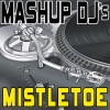 Mashup DJ's《Mistletoe (Re-Mix Tool)》[MP3/LRC]