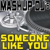 Mashup DJ's《Someone Like You (Re-Mix Tool)》[MP3/LRC]