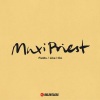 Maxi Priest - Fields (Radio Edit)