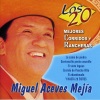 miguel aceves mejia《La Espiga》[MP3/LRC]