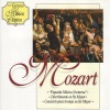 Orquesta Sinfónica de Hamburgo、The Flys、Ferdinand Cononovich - Allegro