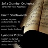 Sofia Chamber Orchestra《1. Allegro moderato》[MP3/LRC]