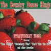 The Country Dance Kings - Third Rate Romance
