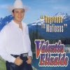 Valentin Elizalde《El Chipilon》[MP3/LRC]