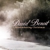 David Benoit《Skating》[MP3/LRC]