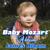 James Bloom《Piano Sonata No. 1 in C major, K.279, I. Allegro》[MP3/LRC]