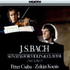 zoltán kocsis、Péter Csaba - Sonata No. 1 for Violin & Harpsichord in B Minor, BWV 1014: I. Adagio