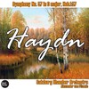 Salzburg Chamber Orchestra、Alexander Pitamic - Symphony No. 57 in D major, Hob.I:57: I. Adagio - Allegro