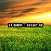 DJ Biopic《Sunset Ritual》[MP3/LRC]