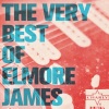 Elmore James - Find My Kind of Woman