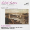 Trio Mersson - Piano Trio in G Major, Op. 15: I. Moderato assai