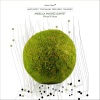 Angelica Sanchez - Wires & Moss