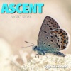 Argus & Ascent、Norma Project、Ascent《Beautiful Morning》[MP3/LRC]