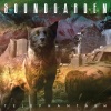 Soundgarden - Spoonman