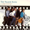 the seldom scene《Casting My Shadow In the Road》[MP3/LRC]