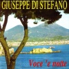 giuseppe di stefano《Dicitencello Vuje》[MP3/LRC]