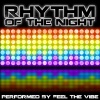 Feel The Vibe《Rhythm of the Night》[MP3/LRC]